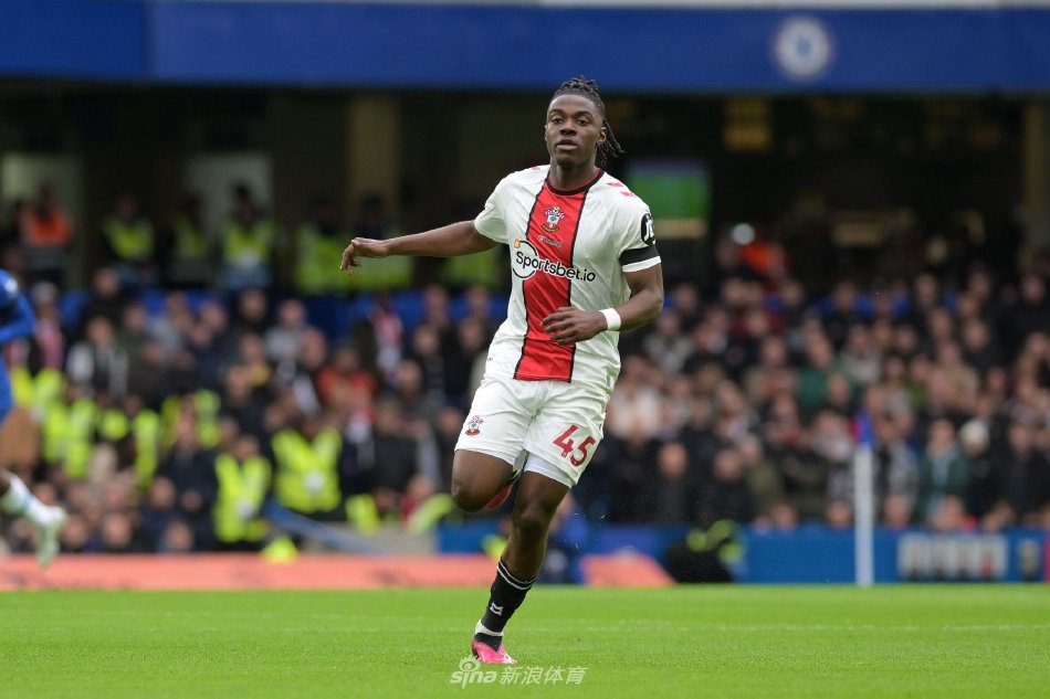 这种稳定的 这种稳定的